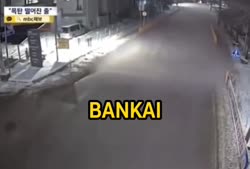 VID20250703164527942.mp4