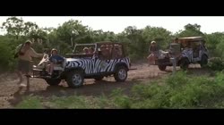 1.mp4