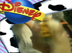 17513345581180.webm