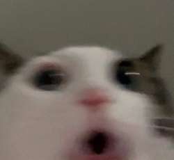 1742589404964148.jpg