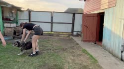 17479382662230.mp4