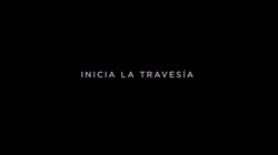 17514532331970.mp4