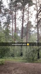 nerirainy.mp4