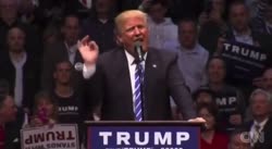 too much winning.mp4