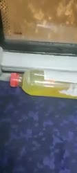 1751604309044.mp4