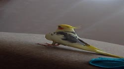 VID20250704114734.mp4