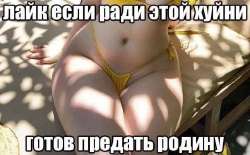 IMG8596.png