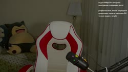 kotik.mp4