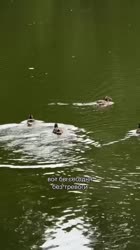 fraukrauze-20250704-0001.mp4