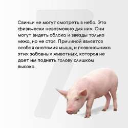 1751624503168.jpg