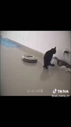 1751633887753.mp4