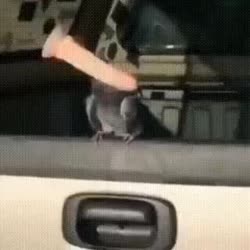 VID20250706184838386.mp4
