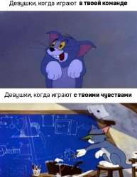 17502623335420.jpg