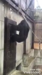 17498394755951.mp4