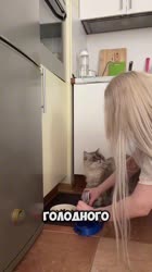 AQNbdpAk6oBFkk6Vt8LVH1FELtbdogX9aUSPlbkVFxpuXsxaAv0HQDZqhx1FDK4nn0duvWnc1mnmUyfqAhsXISVXzWtJF-sS265cE.mp4