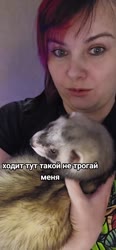 17110543598010.mp4
