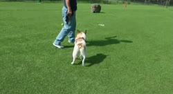 Наказанный 2.webm