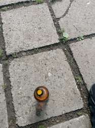 175173394273687149.jpg