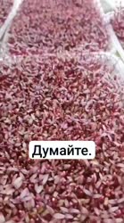 1751728562466.mp4