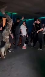 57.mp4
