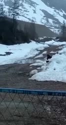 VID20250706020653709.mp4
