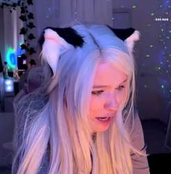 17297394978730.png