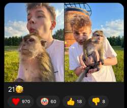 IMG0321.jpeg