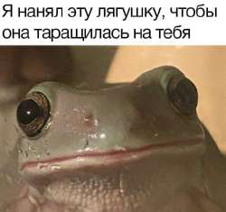 17521065266193.jpg