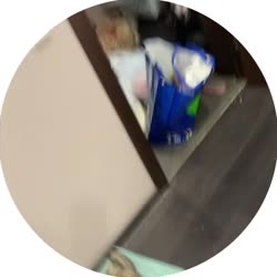 др.mp4