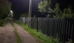 7843623.mp4