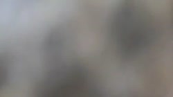 .mp4