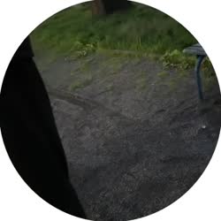 video2.mp4