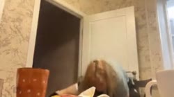 7777.gif.mp4