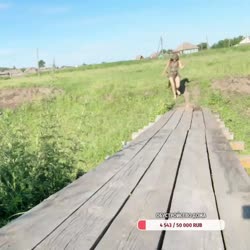 1735472963175.mp4