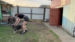 17479382662230.mp4