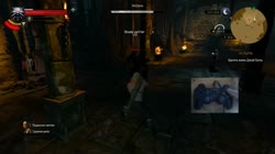 17340619366790.mp4