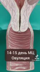 738db8e416b545380f5a62bdae32c933.mp4