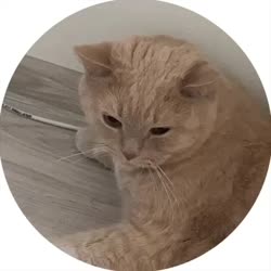video.mp4