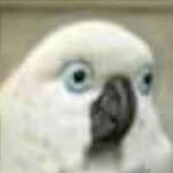 1751892971418.png