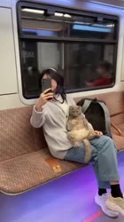 С КОТОМ В МЕТРО fyp рекомендации котики [get-save.com].mp4