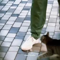 17516338568120.mp4