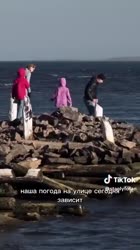 Америка мешает жить на селухе.mp4