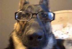 IMG5490.jpeg