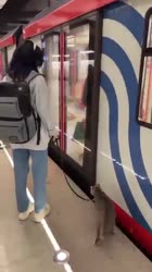 С КОТОМ В МЕТРО fyp рекомендации котики [get-save.com].mp4