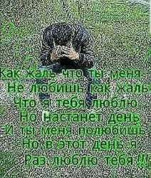 IMG4240.png