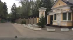 1607538238759.mp4