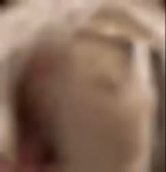 1751865498074-0.webm