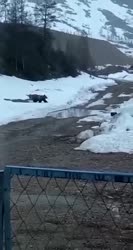 VID20250706020653709.mp4