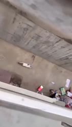 1752059315437.mp4