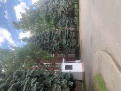 IMG8718.jpeg